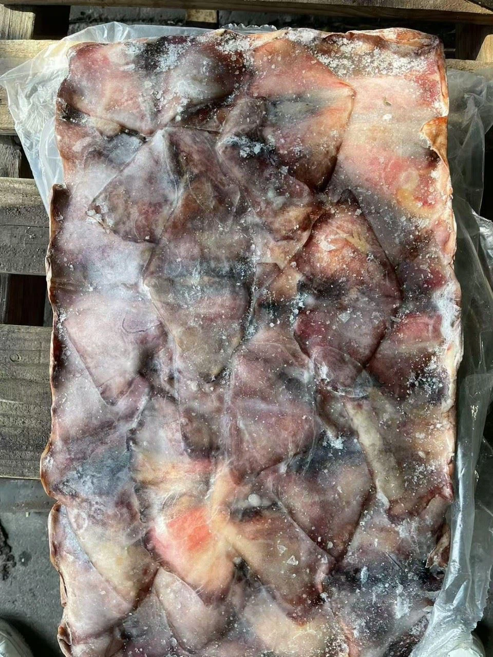 Frozen Squid Wings Skin-on