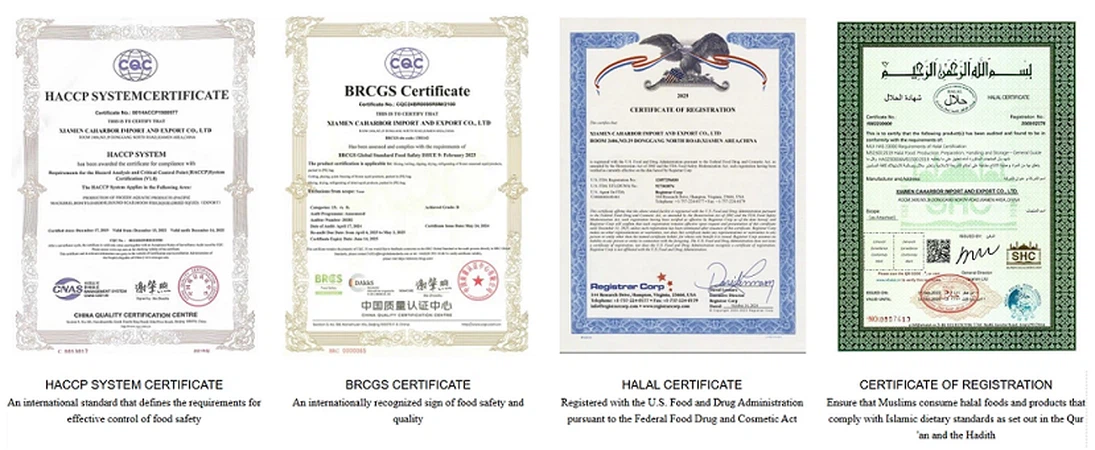 20241231143108 20241231143108